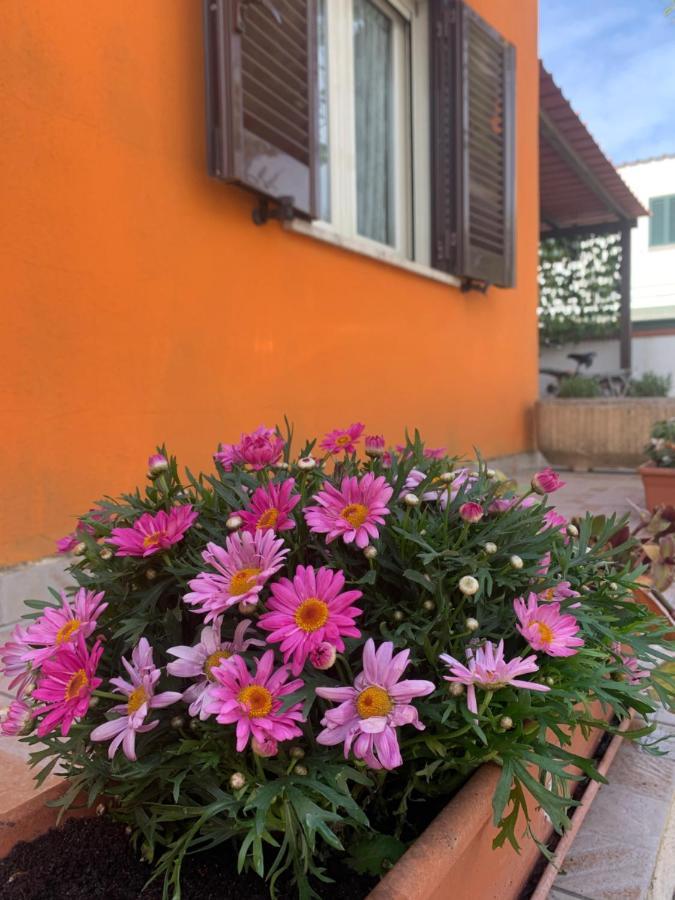 Villa Casa Mare Al Circeo San Felice Circeo Exterior foto